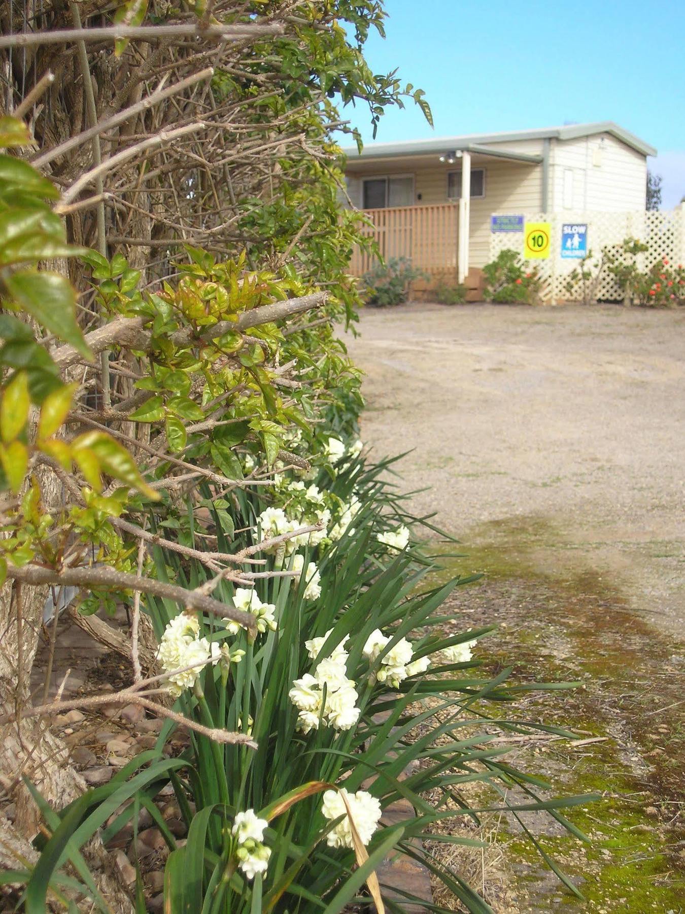 Moonta Bay Accommodation Port Moonta Eksteriør billede