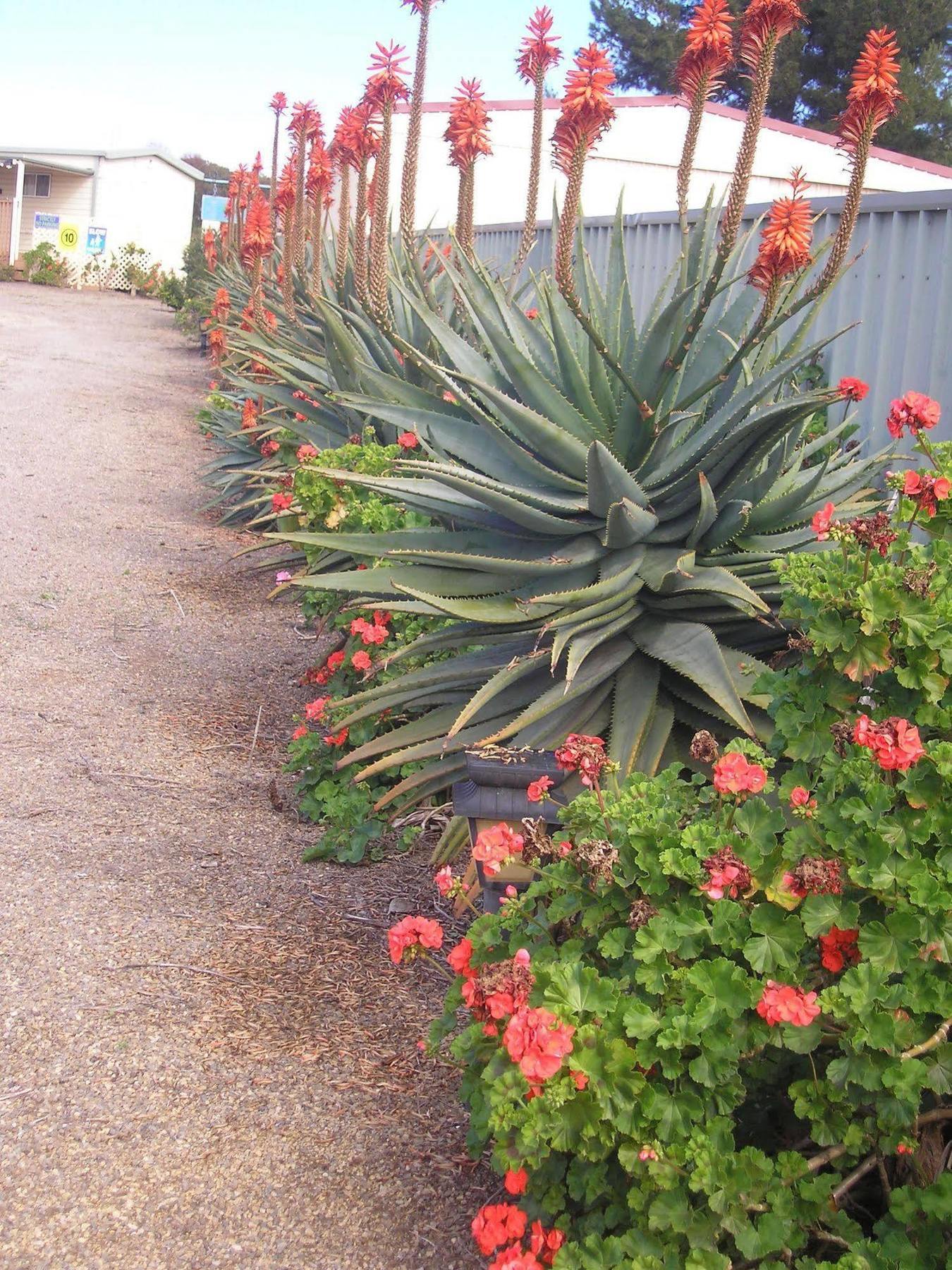 Moonta Bay Accommodation Port Moonta Eksteriør billede